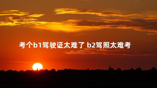 考个b1驾驶证太难了 b2驾照太难考白扔钱了